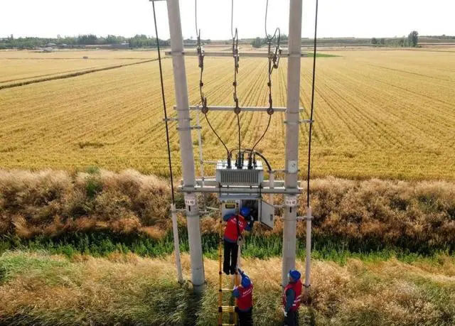 配電箱助力“電力?！报D農民有了“電力?！碑a業(yè)發(fā)展質效